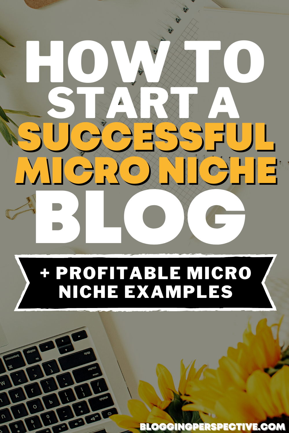 how to start a successful micro niche blog