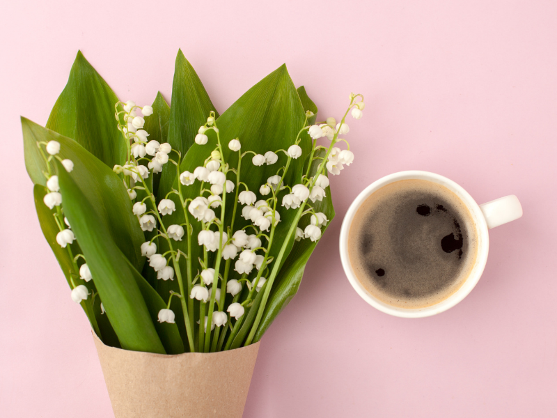 Flowers and coffee with pink background