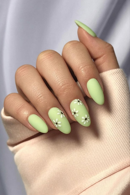 8 Almond shaped pale lime green with white daisy flowers black centers_pin