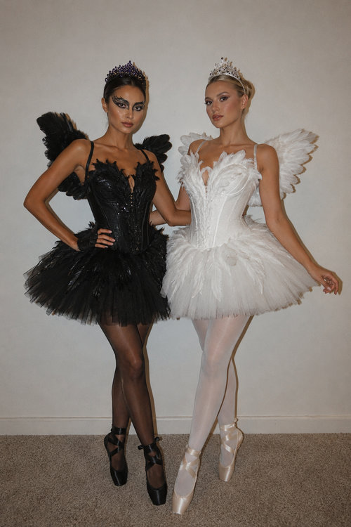 11 Black Swan & White Swan_bp
